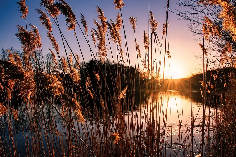 St. Tikhon's Seminary Schedule a Visit a view of the lake at sunset.