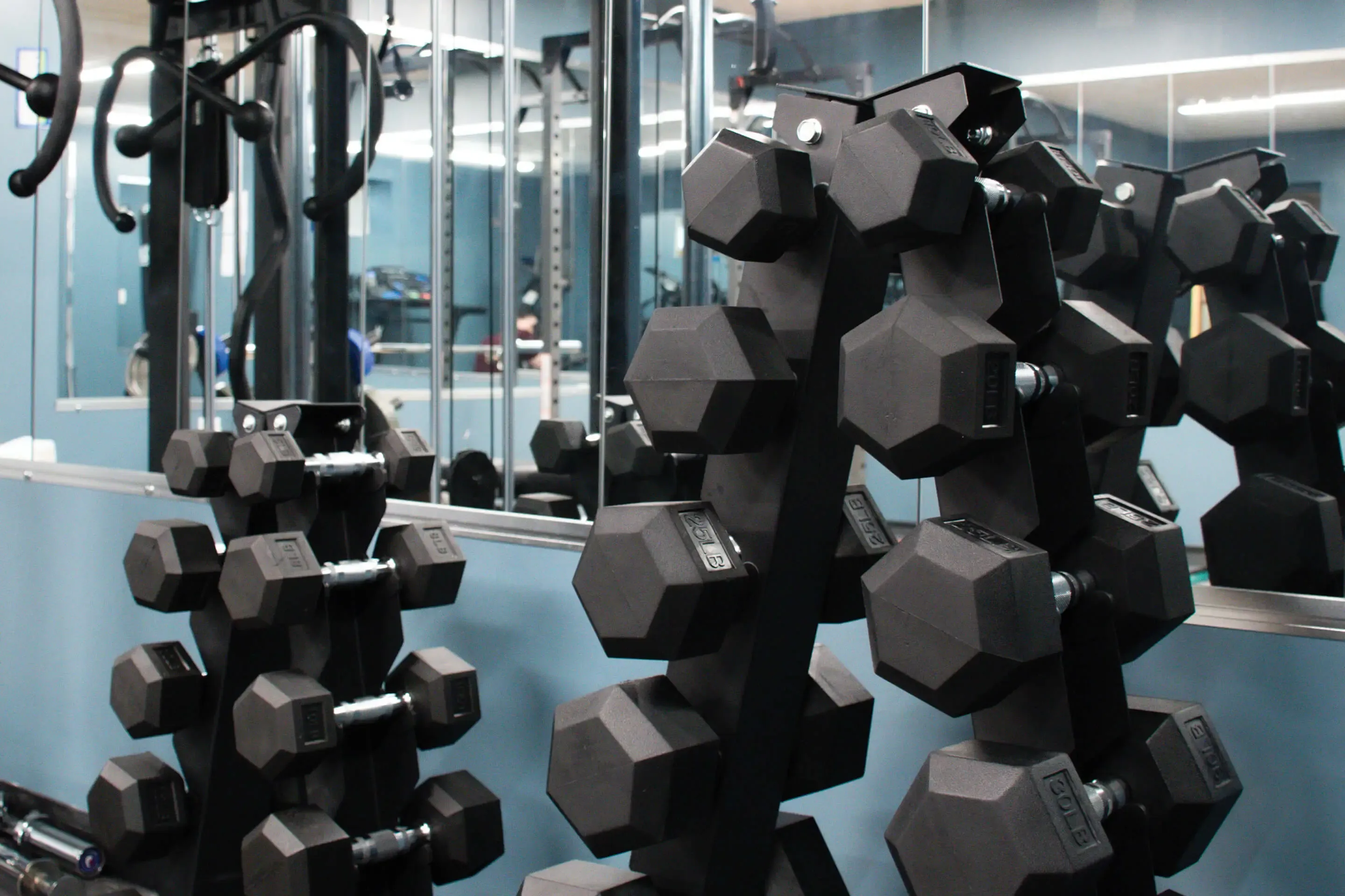 St. Tikhon's Seminary Community Excersize Facilities free weights.