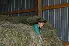 Did someone say there is a needle in the haystack?